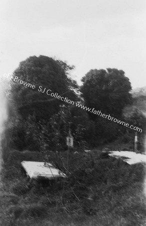 ABBEY ASSAROE IVY COVERED WALLS FROM GRAVEYARD